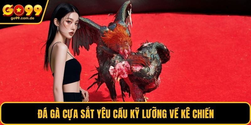 Đá gà cựa sắt yêu cầu kỹ lưỡng về kê chiến