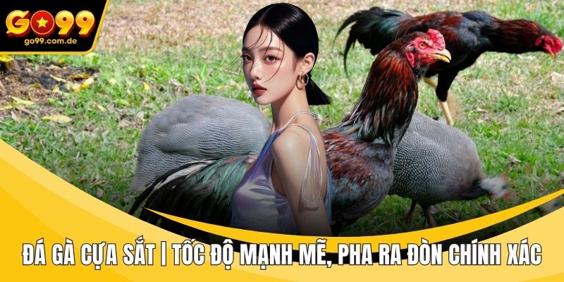 Đá gà cựa sắt