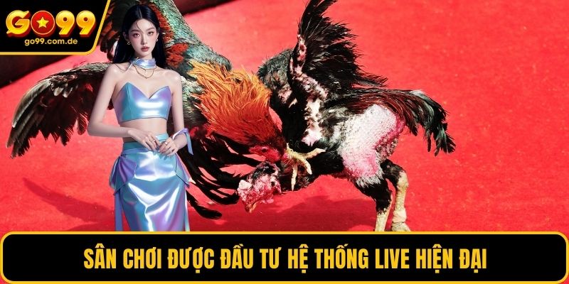 Sân chơi được đầu tư hệ thống live hiện đại