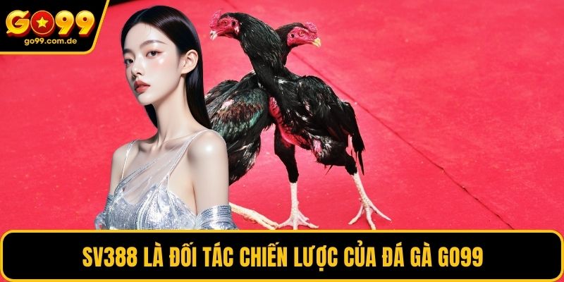 SV388 là đối tác chiến lược của đá gà GO99
